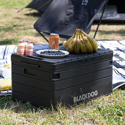 60l tragbare, faltbare Aufbewahrungsbox für Outdoor-Camping &amp; Picknick